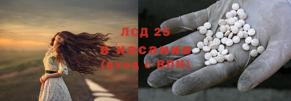 стафф Арсеньев