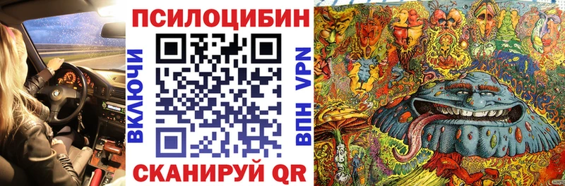 где купить наркоту  Приозерск  Псилоцибиновые грибы Cubensis 